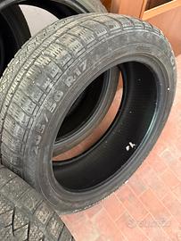 Gomme Champiro