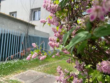 Appartamento - Milano
