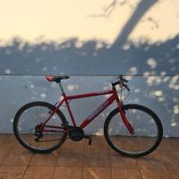 Bici MTB 26"
