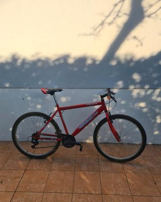 Bici MTB 26"