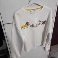 Felpe Disney e Adidas