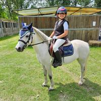 Pony