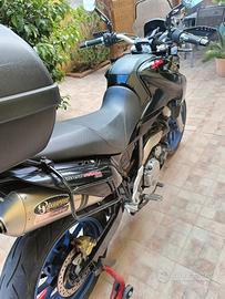 Aprilia Pegaso 650 - 2006