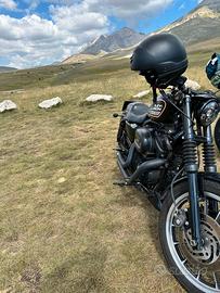 HARLEY DAVIDSON SPORTSTER 883 R