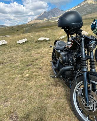 HARLEY DAVIDSON SPORTSTER 883 R