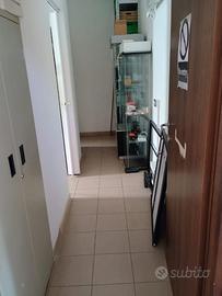 Locale commerciale Ufficio/Negozio