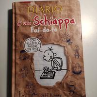 Diario di una Schiappa: Fai-da-te