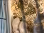 Immagine 6