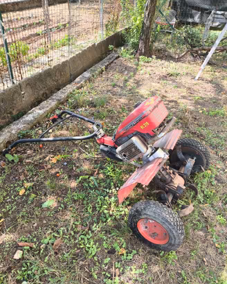 motozappa Meccanica Benassi RL 319