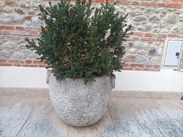fioriera per piante da esterno 