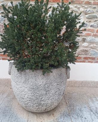 fioriera per piante da esterno 