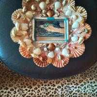 piatto  da parete  con  conchiglie 