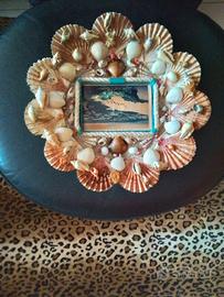 piatto  da parete  con  conchiglie 