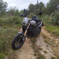 Benelli800 leoncino 800 trail 2022