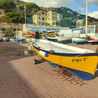 Barca in vetroresina 4.60 m con motore Mercury 9.9