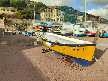 Barca in vetroresina 4.60 m con motore Mercury 9.9