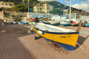 Barca in vetroresina 4.60 m con motore Mercury 9.9