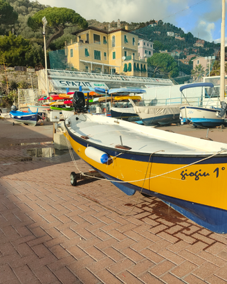 Barca in vetroresina 4.60 m con motore Mercury 9.9