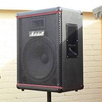 Casse passive Marshall 6115h