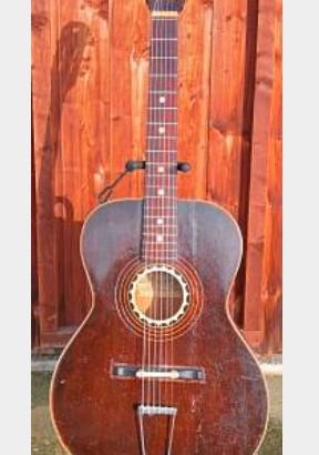 chitarra leone sanavia