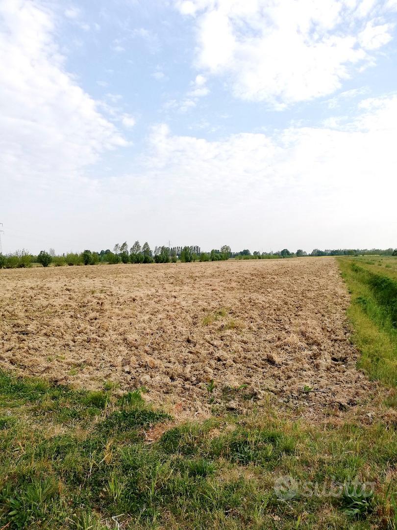 Terreno agricolo - Vista 2