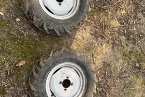 pneumatici e cerchi per motocoltivatore