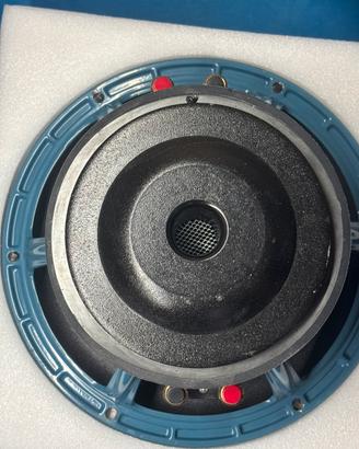Coppia di subwoofer 25cm