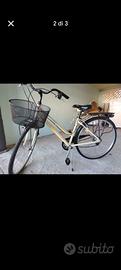 Bicicletta Bottecchia  Verde Natura