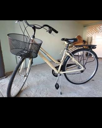 Bicicletta Bottecchia  Verde Natura