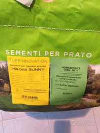 Semente Sunny Emerald