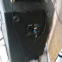 cassa per basso kustom 