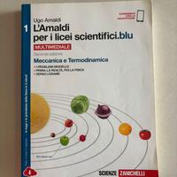 L'Amaldi per i licei scientifici.blu