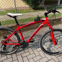 Mountain bike Specialized