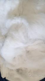 1 KG Imbottitura cuscini peluche bomboniere ecc.