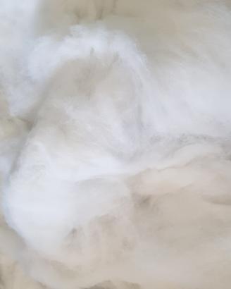 1 KG Imbottitura cuscini peluche bomboniere ecc.