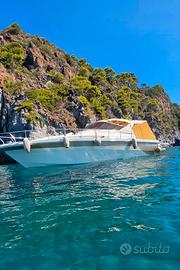 cayman 40