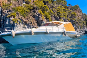 cayman 40