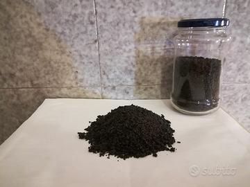 Cenere vulcanica Etna Eruzione Terremoto 24.12.18