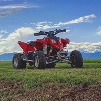 Polaris outlaw 525 irs 2008