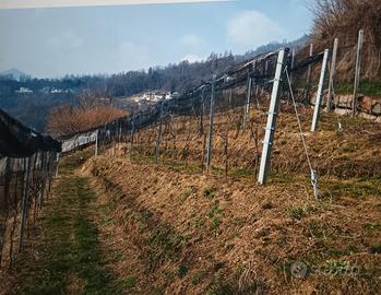 Terreno agricolo con bosco e baito