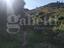 Immagine 12