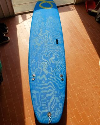 tavola da surf