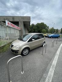 Lancia musa
