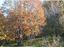 Immagine 19
