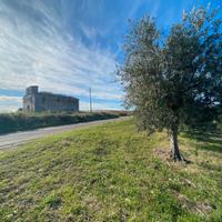 Terreno vista mare rif.654