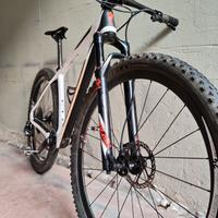 Specialized Stumpjumper M