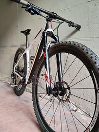 Specialized Stumpjumper M
