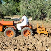 Trattore Goldoni 224 universal
