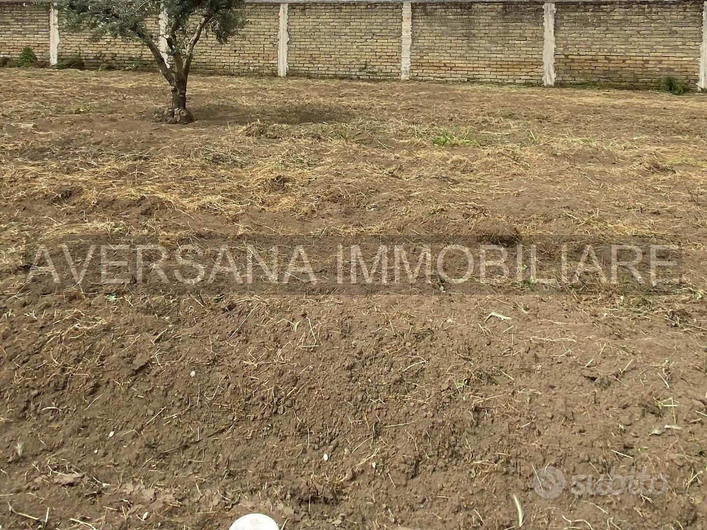 Terreno Sportivo - Vista 2