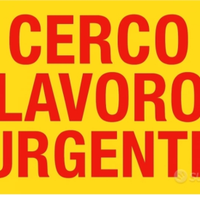 Dama di compagnia per signora